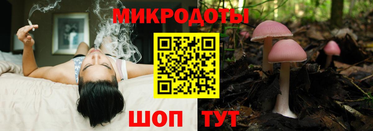 Псилоцибиновые грибы прущие грибы Каменск-Шахтинский